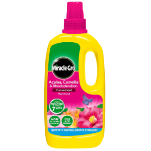 Miracle-Gro Azalea, Camellia & Rhododendron Concentrated Liquid Plant Food - 1 Litre
